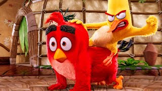 THE ANGRY BIRDS MOVIE Funny Moments