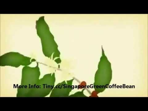 download lagu mp3 mp4 Raw Coffee Beans Singapore, download lagu Raw Coffee Beans Singapore gratis, unduh video klip Raw Coffee Beans Singapore