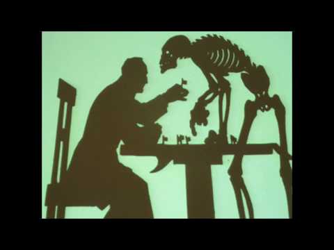 Teledysk