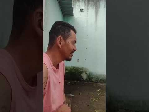 mato verde Minas gerais