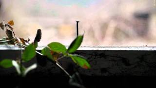 Flowing Tears &amp; Withered Flowers - Trust