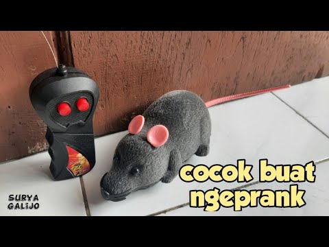 Alat prank tikus rc mainan lucu dan murah [unboxing||review]