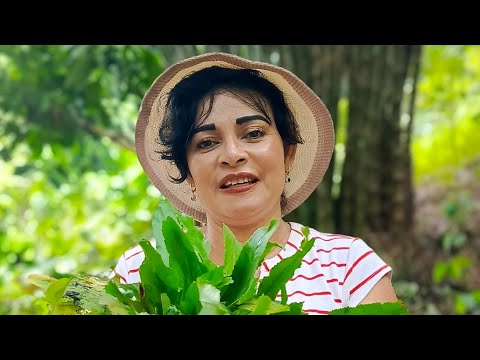 THE BEST PURGANT I LEARNED IN THE PERUVIAN JUNGLES