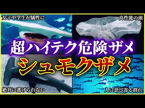 ユースフィラ・ブロキイ