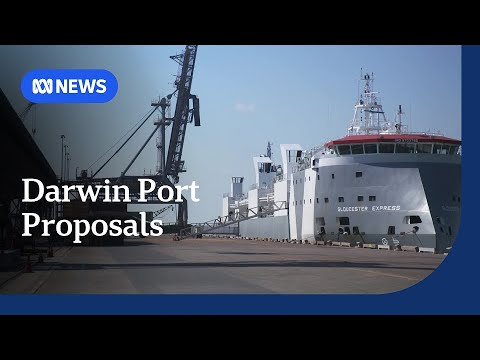 Calls for Middle Arm's federal funding to instead be used to buy-back Darwin's Port | ABC NEWS Calls for Middle Arm's federal funding to instead be used to buy-back Darwin's Port | ABC NEWS