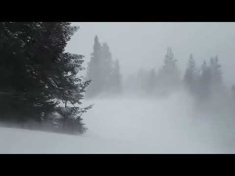 Relax ,uyumak için rüzgar fırtınası sesi, wind storm sound