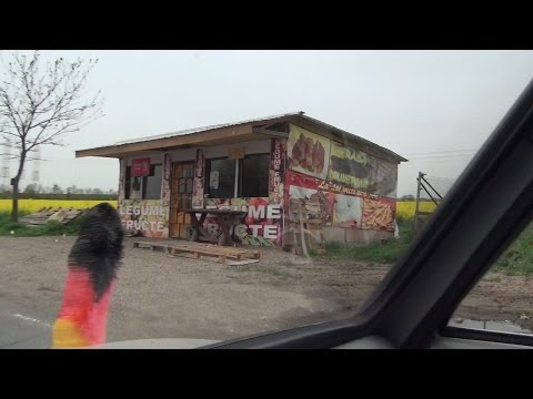 Gruiu Pasărea Frumuşani Pădurişu Orăşti Postăvari 4 Rumänien Romania 14.4.2016