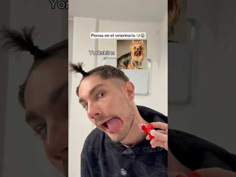 El tuyo? @lauretaggz  #humorperros #humorviral #humormascotas #perrosderisa #memesdeperros