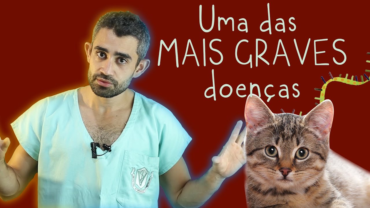 FELV | Dica Veterinária #33