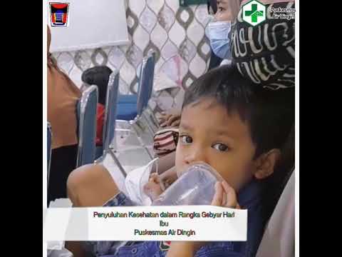 Gerakan Ibu Hamil Sehat Puskesmas Air Dingin