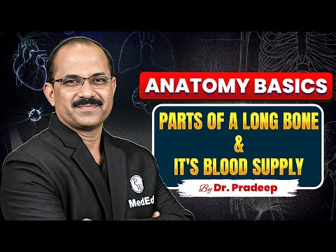 Blood Supply of Bones & Long Bone Parts | Anatomy Basics Explained by Dr. Pradeep Sir | PW MedEd