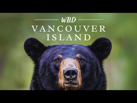 Wild Vancouver Island - The Movie | 4K | Canada, BC