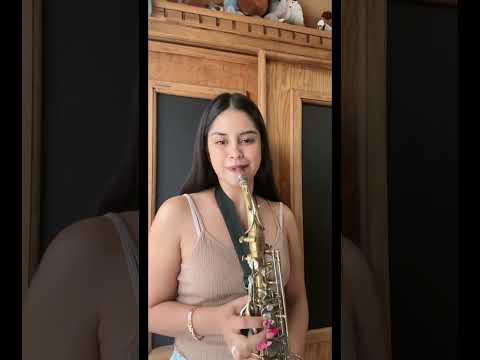 Cumbia del changuito - Fito Olivares 🎷💃🏻🐒