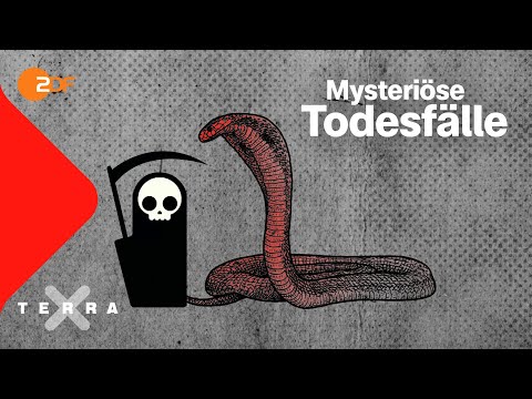3 mysteriöse Todesfälle der Geschichte | Terra X