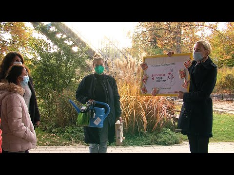 Schüler der Rottenburger Lindenschule gewinnen die "Tomatenchallenge"