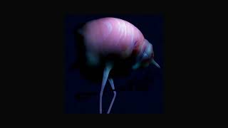 Arca - &amp;&amp;&amp;&amp;&amp; (full mixtape)