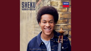 Saint-Saëns: Le Carnaval des Animaux, R.125 - 13. The Swan (Arr. Hodge for Cello, Harp & Ensemble)