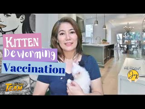 Kitten Deworming and Vaccination Schedule