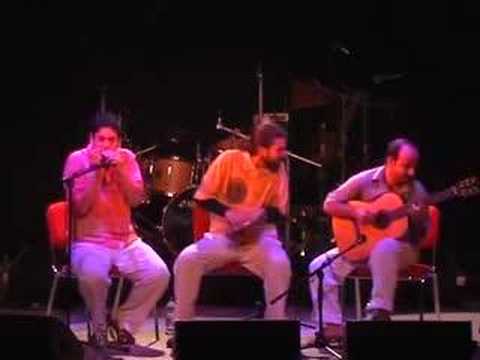 Um Trio Viralata: Gaita, Pandeiro e Violao Brasileiros
