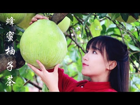 download lagu mp3 mp4 Chinese Grapefruit Tea, download lagu Chinese Grapefruit Tea gratis, unduh video klip Chinese Grapefruit Tea