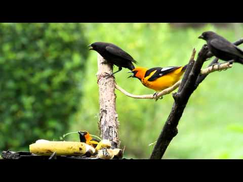 Madre sÃƒÂ³lo hay una????.........algunas veces no es asÃƒÂ­.