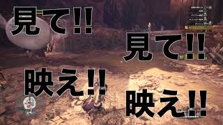 【MHW】ぐだぐだモンハンワールド!!食という欲の扉を開け編【実況】