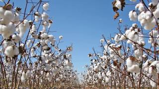 Home Textile Production Process Video