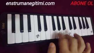 Seksendört Sarhoş Gibiyim Melodika