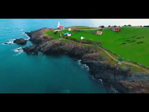 Serdar Ayyıldız feat. Seren Uzun - Pulim (AslanBeat Trap Remix)