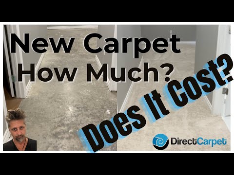 New Basement Carpet Cost 2022