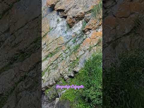 Catarata del arroyo cercano al Río Toro Campo Quijano Salta #argentina ✨🍀🌄 #motivation #viral