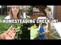 CHICKENS GARDEN UPDATE DAY IN THE LIFE