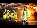 తెలంగాణ పులి బిడ్ద Telangana Puli Bidda Revanth Reddy Special Song