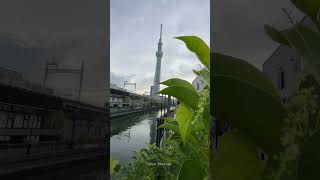 🇯🇵 Travelogue- Tokyo Skytree #japan #skytree #tokyo #travel