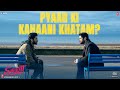 Pyaar ki kahaani khatam? - Shiddat| Sunny Kaushal, Radhika Madan, Mohit Raina, Diana Penty | 1st Oct