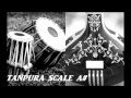 TANPURA SCALE A# | Scale A sharp