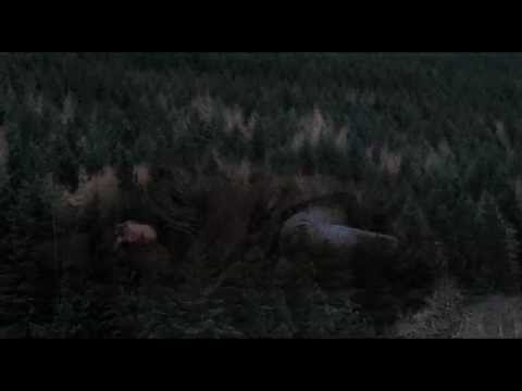 UNDER THE SKIN - Bande Annonce VOST