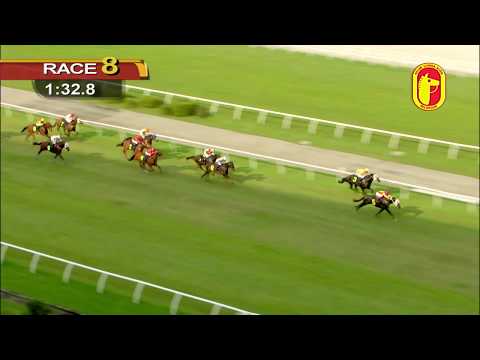 23 February 2019 RACE 8