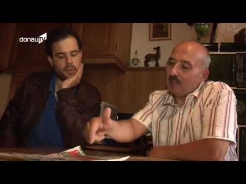 Nachbarschaftliches – Streit um geplanten Pferdestall in Oberdorf!