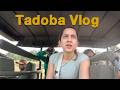 I Spent 6 Safaris Chasing A Tiger In India And Then THIS Happened Tadoba Wildlife Vlog