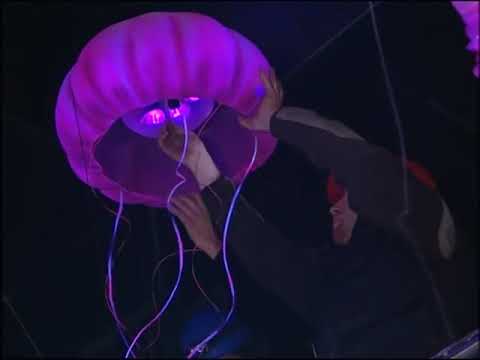 [Disneyland Paris] (FR / EN) Making Of Crush's Coaster au Parc Walt Disney Studios