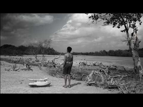 Artesanato de Buriti no Maranhão: A Alma de Santa Clara em ProRes HQ (Fujifilm X-H2S + ZEISS) 🌿🎥