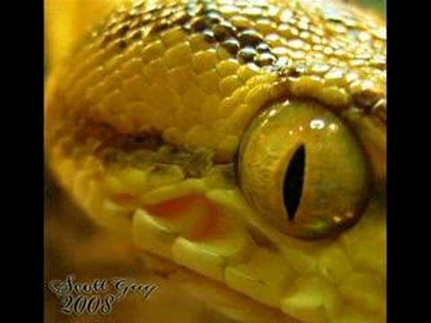 YouTube Video wUPOfaOfh80