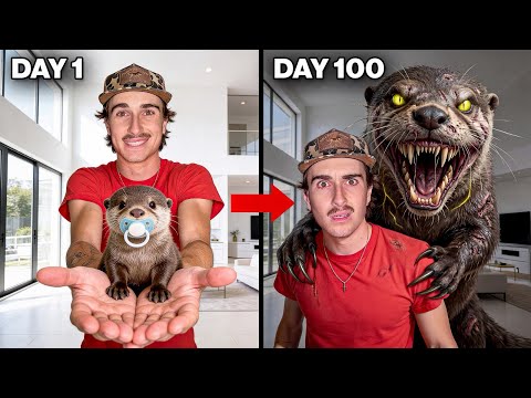 YouTube Thumbnail