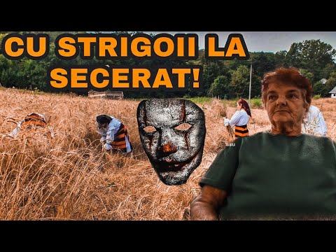 La Secerat cu Strigoii | Povești de Groază cu Bunica #2