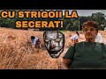 La Secerat Cu Strigoii Povești De Groază Cu Bunica 2