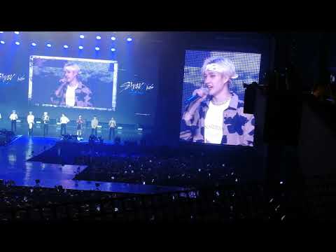 Stray kids in Moscow