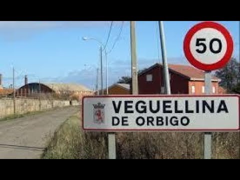 Veguellina 1-1 Ponferradina. Liga provincial Cadete