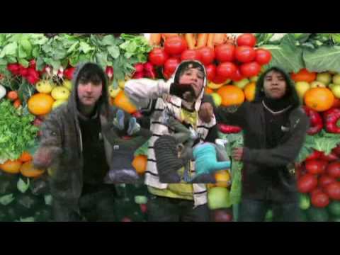 GreenSpot 2009-2010 - Pregnana Milanese