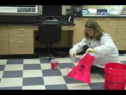 Cleanup and disinfection thumbnail